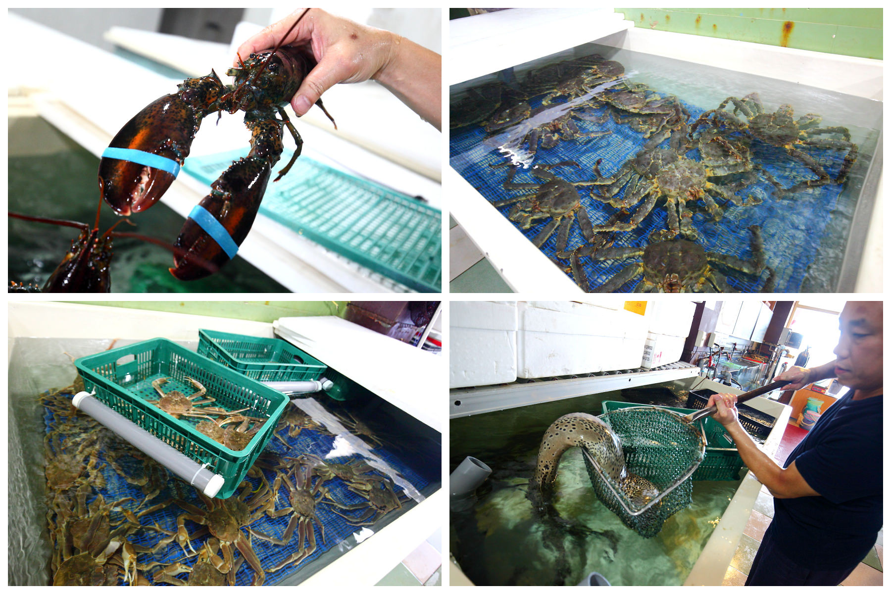 邀稿,桃園美食,竹圍海鮮,竹圍海鮮推薦,竹圍漁港,竹圍漁港海鮮,桃園海鮮