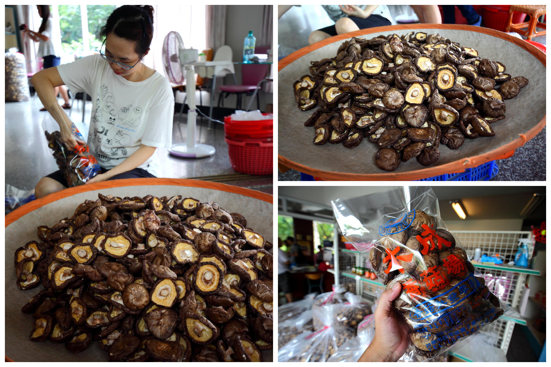 故宮南院,台灣好行,台灣好行關子嶺故宮南院線,關子嶺故宮南院線,關子嶺,台南旅遊
