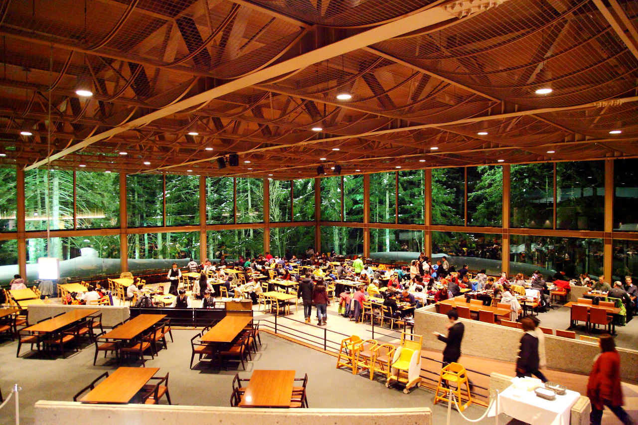 北海道星野渡假村餐廳,Tomamu星野渡假村,星野渡假村,北海道Tomamu星野渡假村,Tomamu星野渡假村森林餐廳,Tomamu星野渡假村餐廳