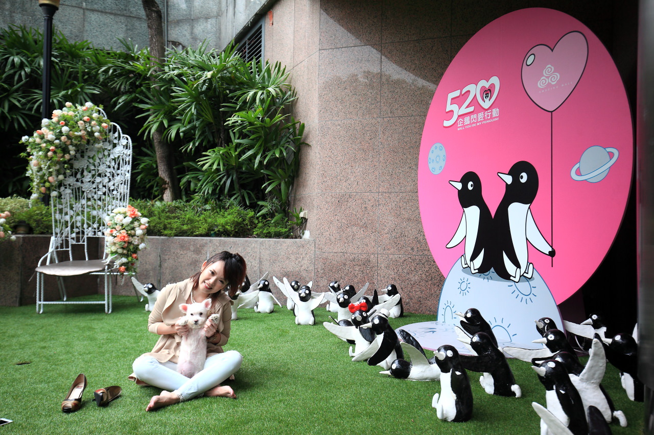 晶宴會館中和,晶宴會館520企鵝閃愛行動,520企鵝閃愛行動,晶宴會館,中和晶宴會館