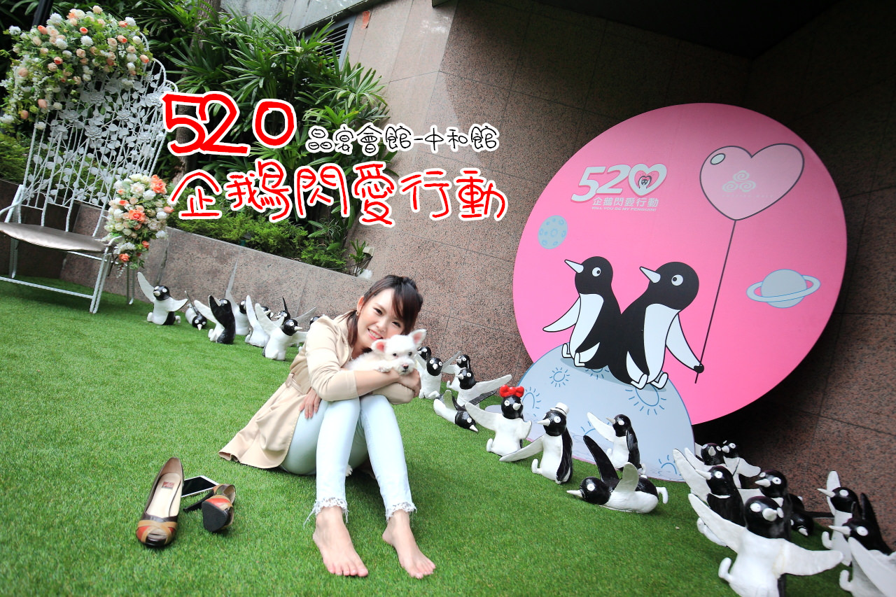 晶宴會館,中和晶宴會館,晶宴會館中和,晶宴會館520企鵝閃愛行動,520企鵝閃愛行動 @大手牽小手。玩樂趣