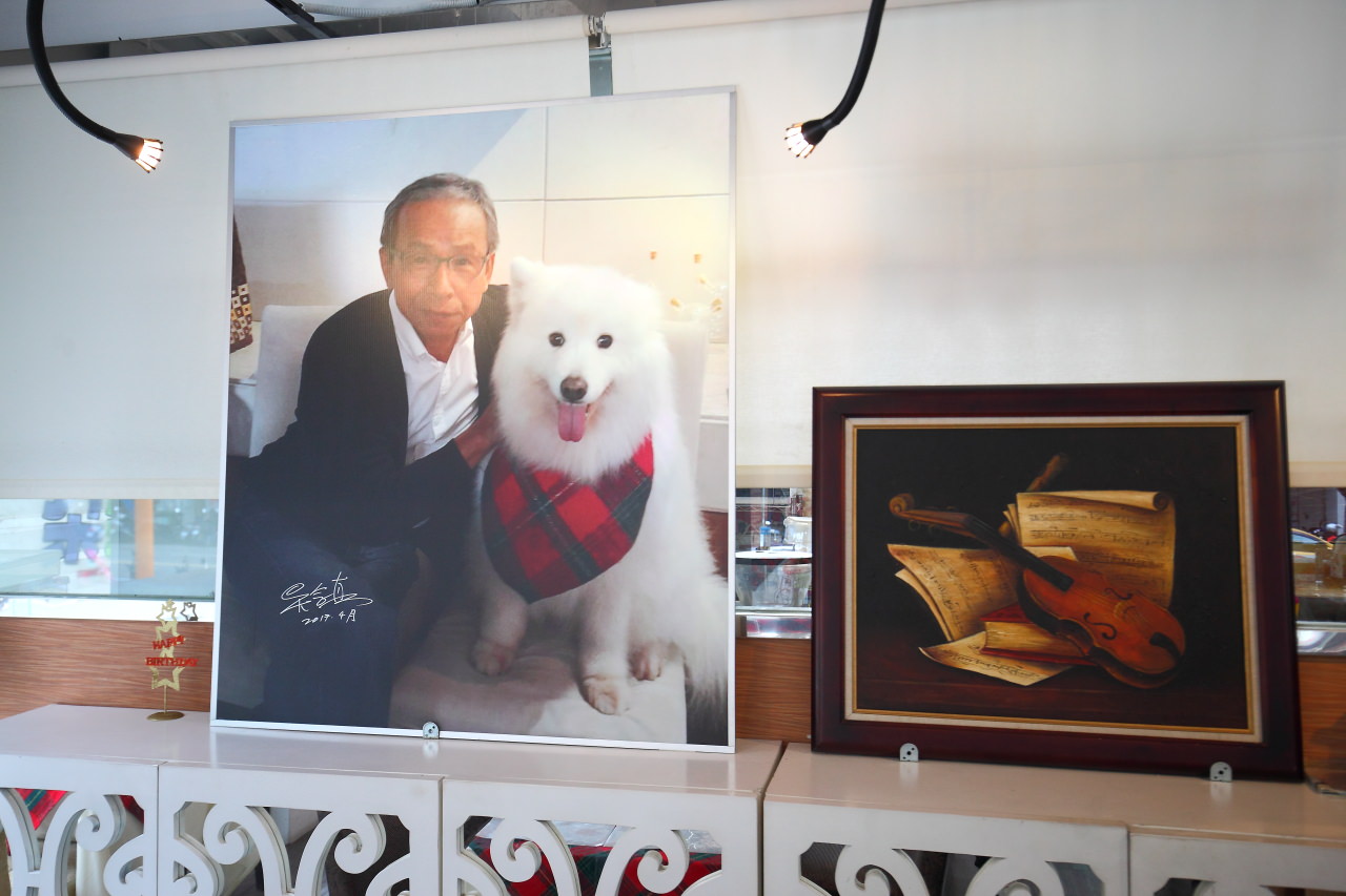 台中寵物友善,寵物友善餐廳,台中排餐,台豬寵物友善餐廳,一中街美食,一中商圈美食,大花朵朵
