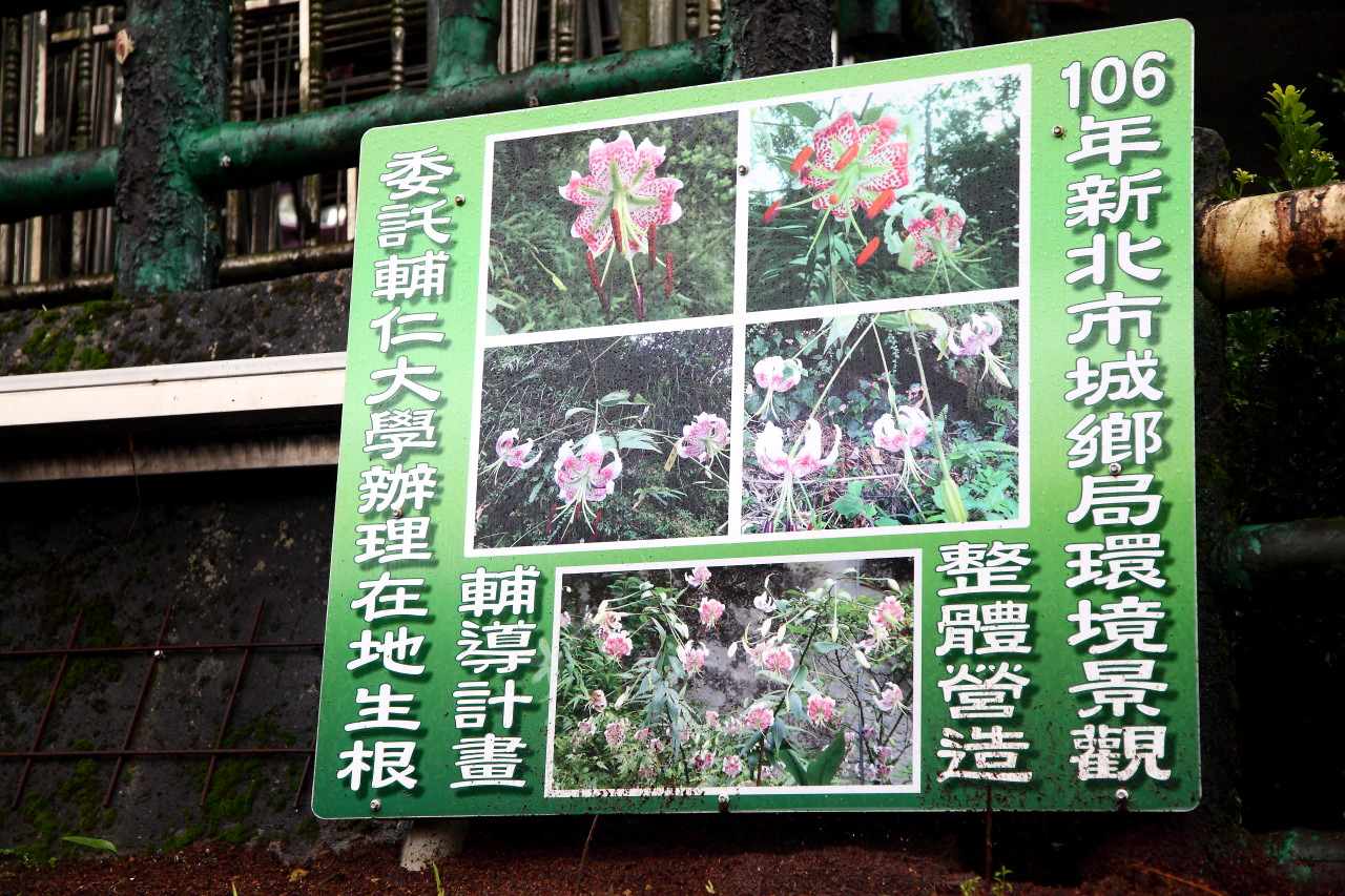 平溪旅遊,台灣好行,台灣好行-木柵平溪線,木柵平溪線,平溪天燈