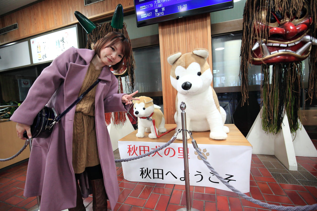 秋田犬,打當溫泉 MATAGI之湯,打當溫泉,MATAGI之湯,秋田溫泉,樂吃購,樂吃購！日本,秋田,台灣近畿旅行社 戀戀秋田犬主題路線,秋田縣,秋田旅遊