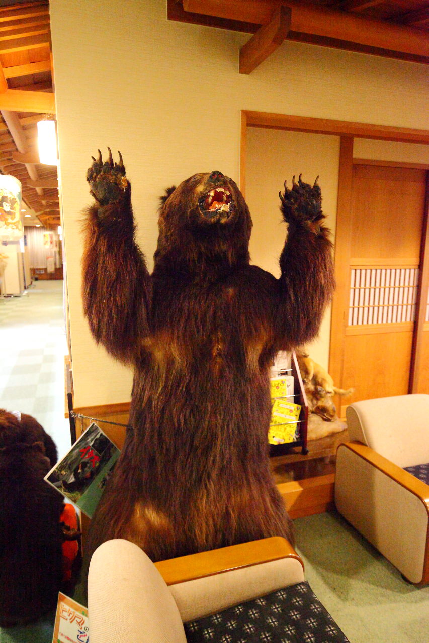 秋田犬,打當溫泉 MATAGI之湯,打當溫泉,MATAGI之湯,秋田溫泉,樂吃購,樂吃購！日本,秋田,台灣近畿旅行社 戀戀秋田犬主題路線,秋田縣,秋田旅遊