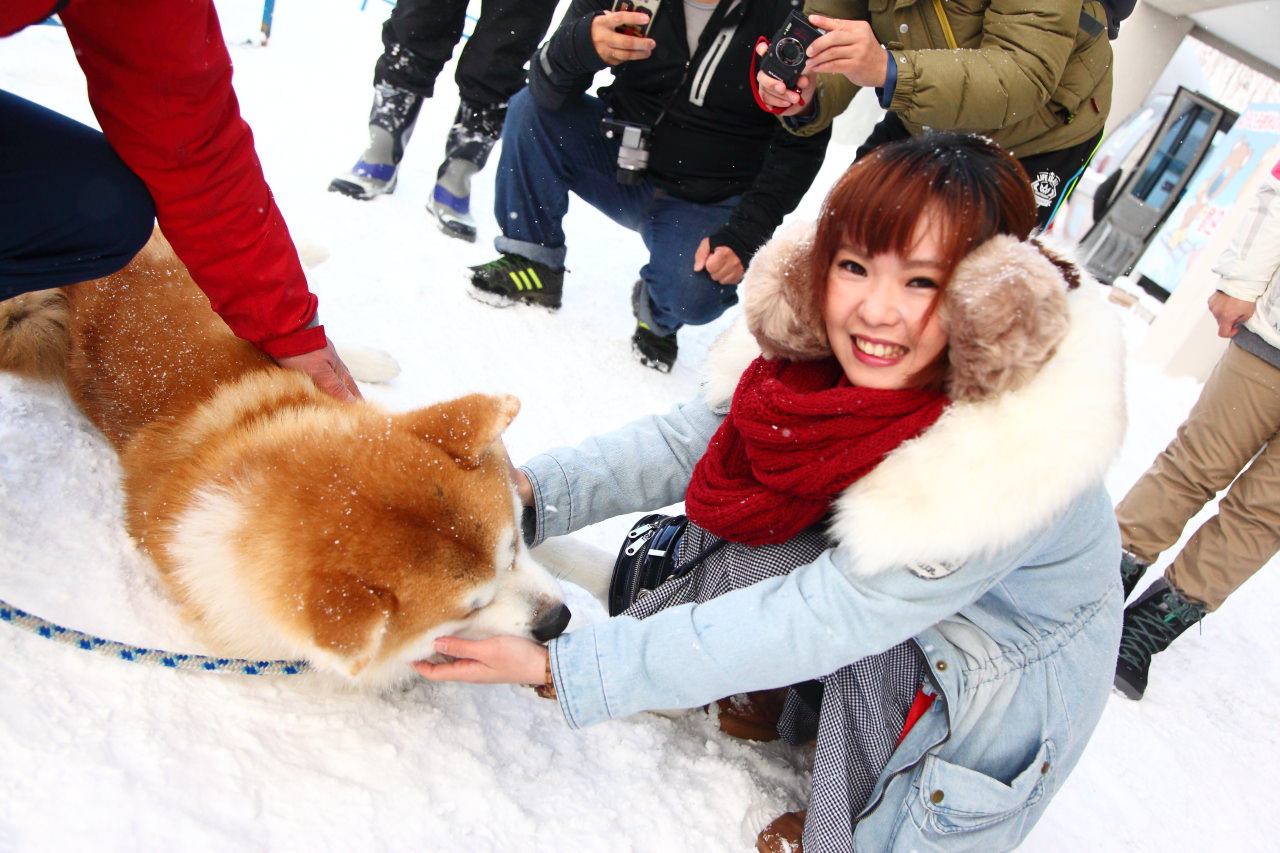 戀戀秋田犬主題路線,樂吃夠！日本,秋田旅遊,台灣近畿旅行社,阿仁滑雪場,森吉山樹冰,森吉山