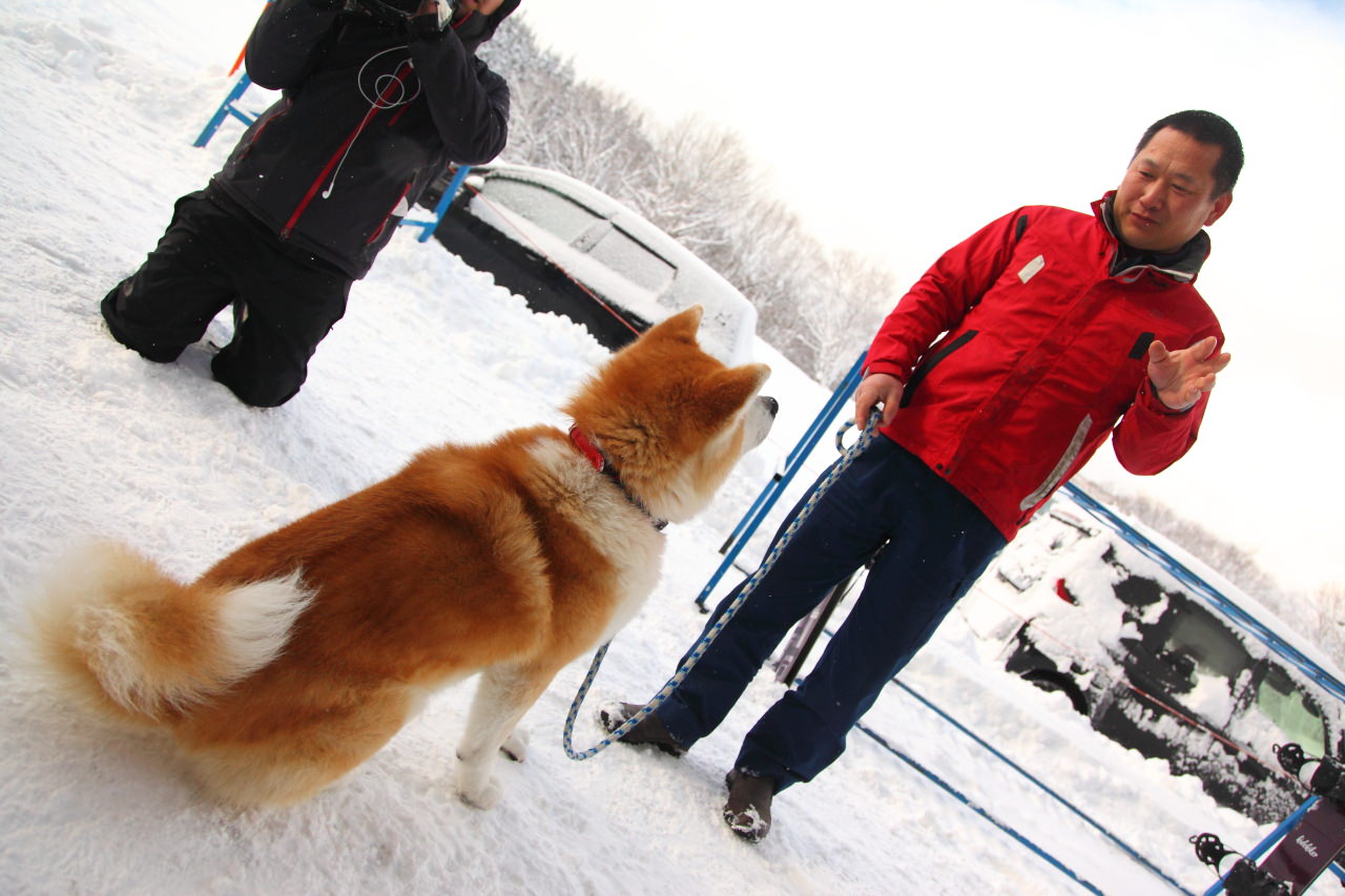 戀戀秋田犬主題路線,樂吃夠！日本,秋田旅遊,台灣近畿旅行社,阿仁滑雪場,森吉山樹冰,森吉山