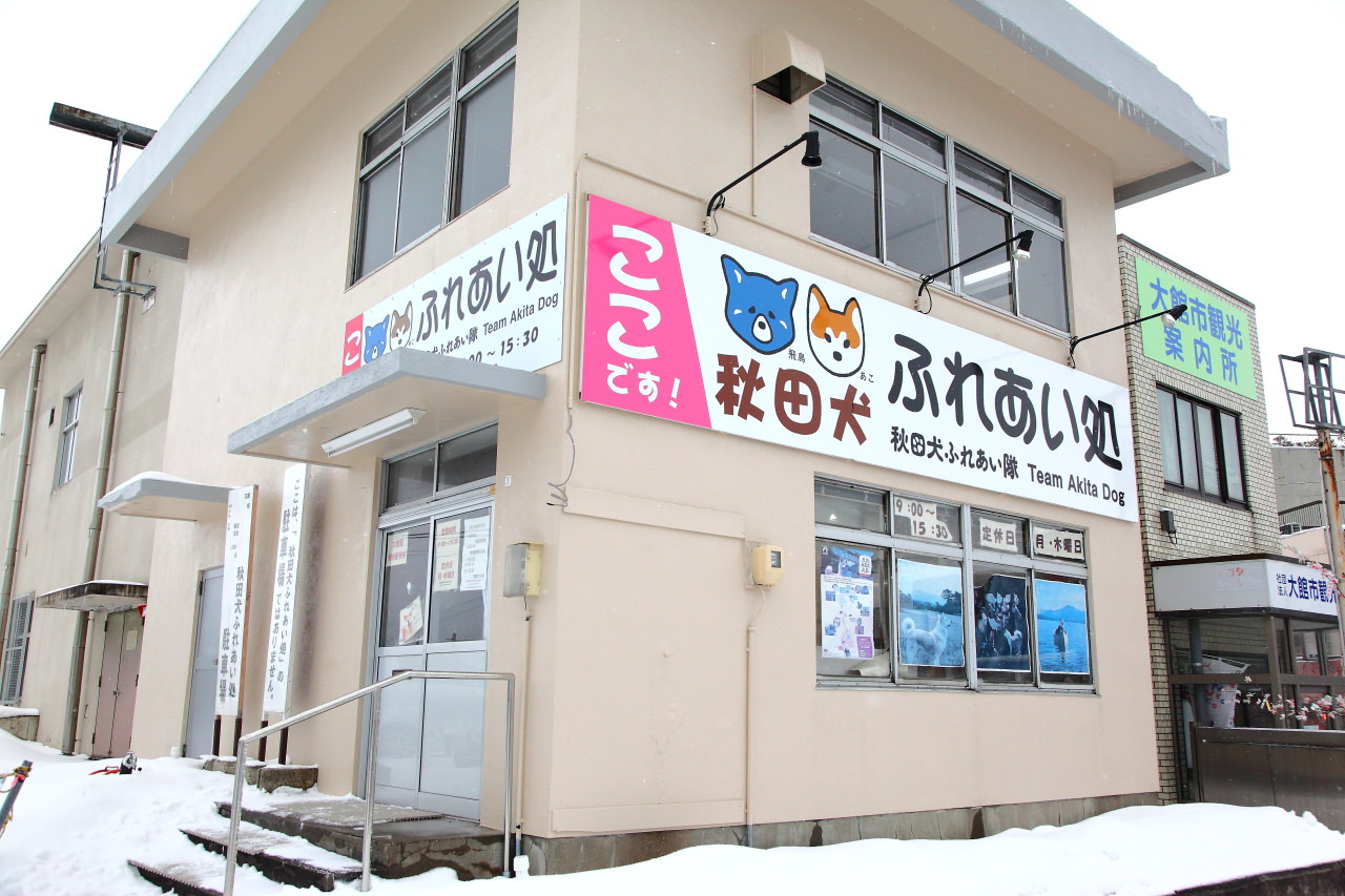 台灣近畿旅行社,戀戀秋田犬主題路線,秋田旅遊,秋田犬,樂吃購！日本