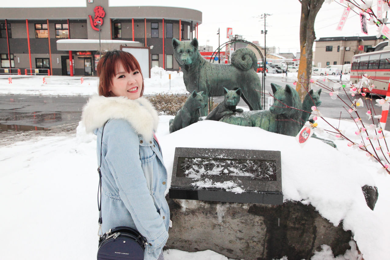 台灣近畿旅行社,戀戀秋田犬主題路線,秋田旅遊,秋田犬,樂吃購！日本