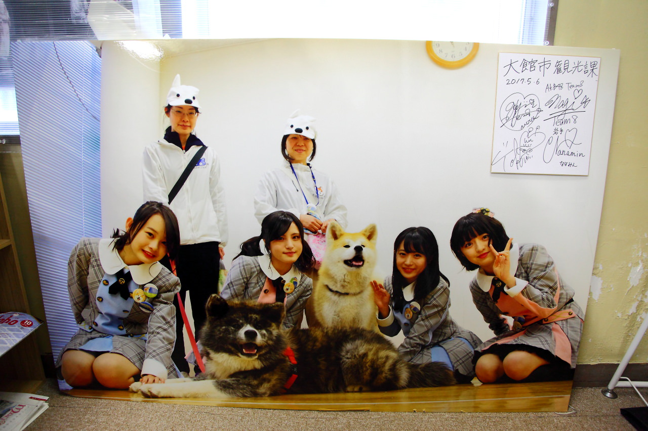 台灣近畿旅行社,戀戀秋田犬主題路線,秋田旅遊,秋田犬,樂吃購！日本