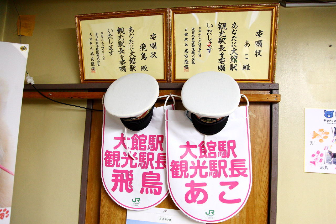 台灣近畿旅行社,戀戀秋田犬主題路線,秋田旅遊,秋田犬,樂吃購！日本