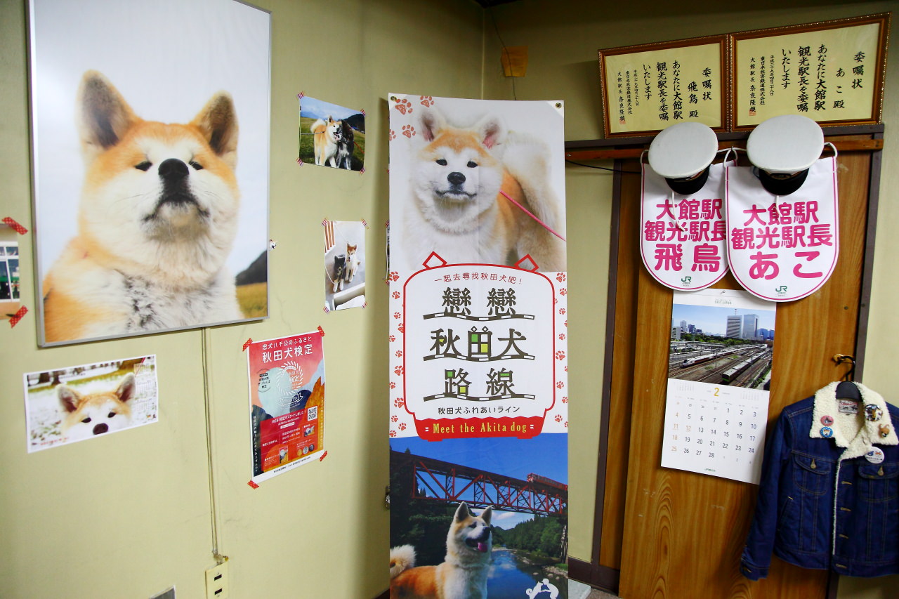 台灣近畿旅行社,戀戀秋田犬主題路線,秋田旅遊,秋田犬,樂吃購！日本