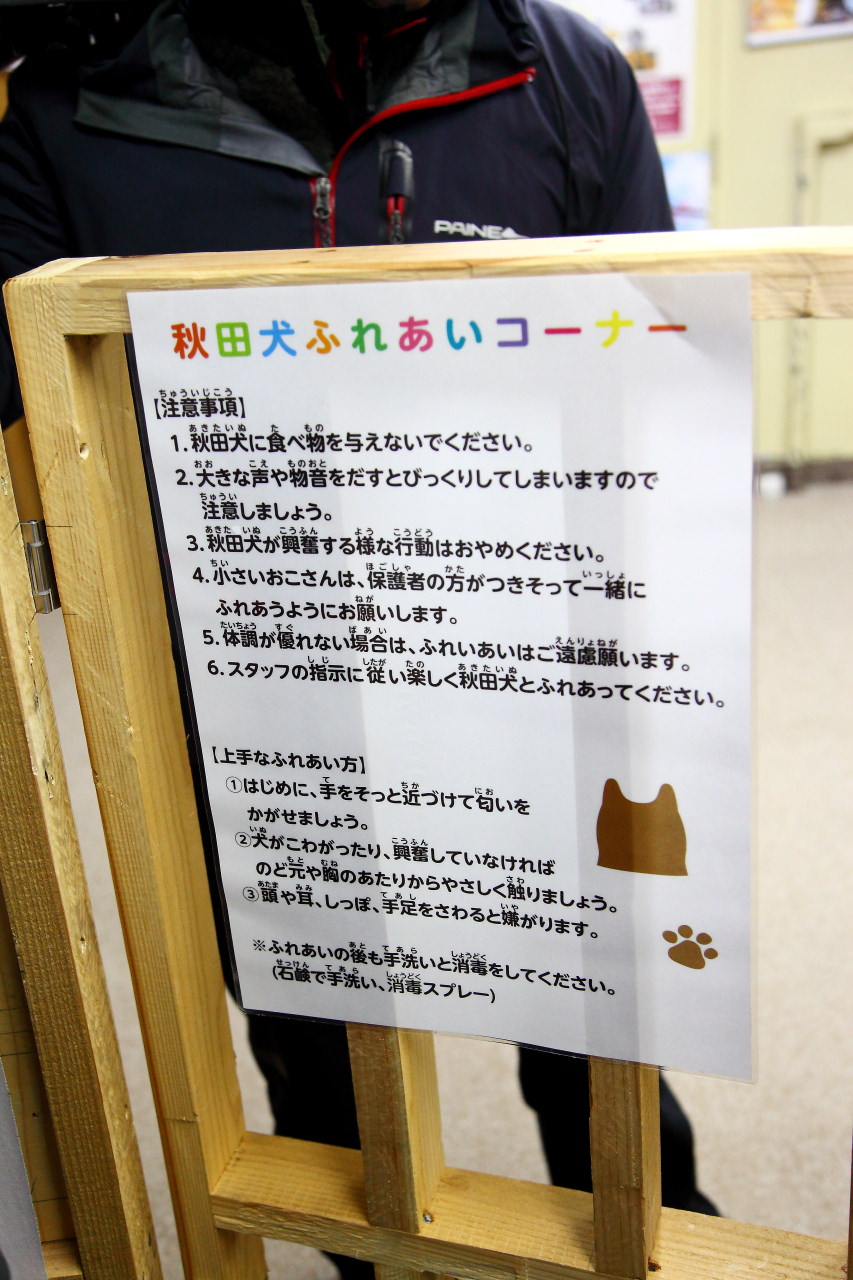 台灣近畿旅行社,戀戀秋田犬主題路線,秋田旅遊,秋田犬,樂吃購！日本