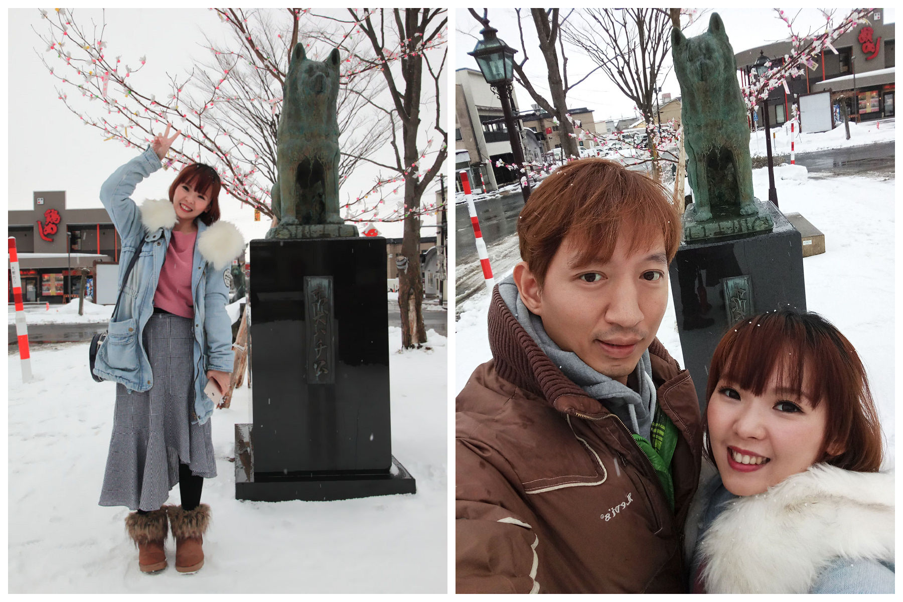 台灣近畿旅行社,戀戀秋田犬主題路線,秋田旅遊,秋田犬,樂吃購！日本