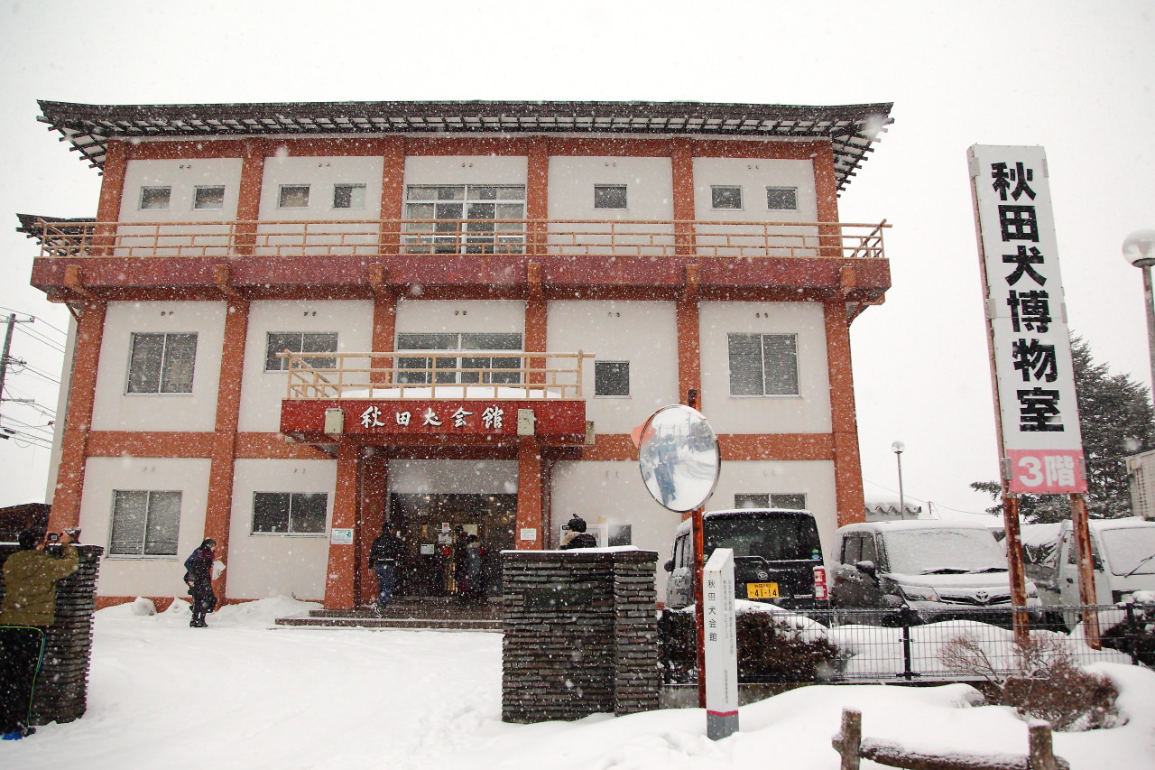 日本旅遊,日本東北旅遊 戀戀秋田犬主題路線,秋田旅遊,秋田犬,樂吃購！日本,台灣近畿旅行社,秋田犬會館