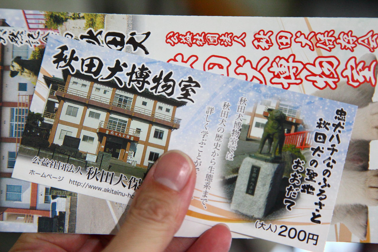 日本旅遊,日本東北旅遊 戀戀秋田犬主題路線,秋田旅遊,秋田犬,樂吃購！日本,台灣近畿旅行社,秋田犬會館