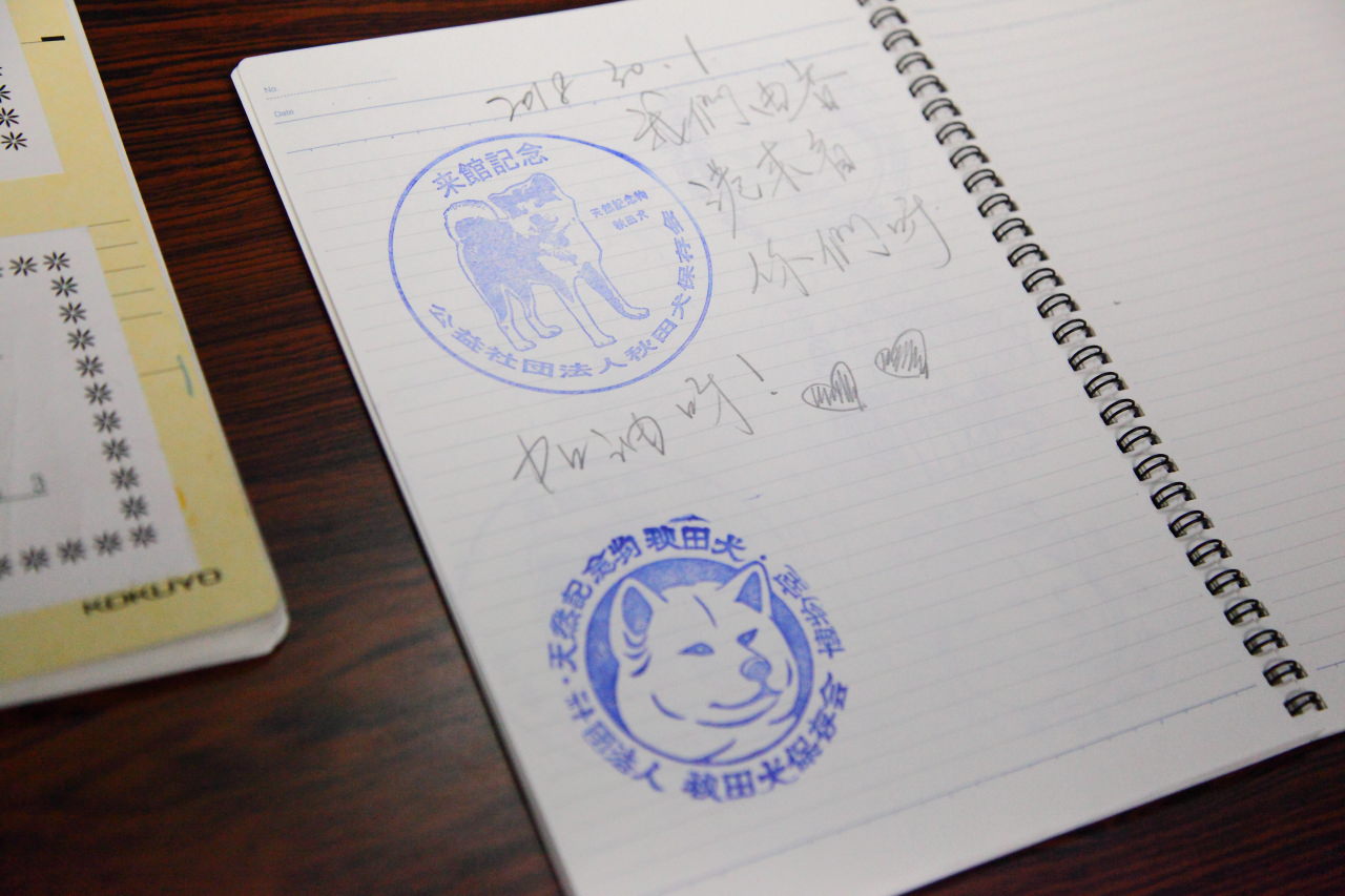 日本旅遊,日本東北旅遊 戀戀秋田犬主題路線,秋田旅遊,秋田犬,樂吃購！日本,台灣近畿旅行社,秋田犬會館