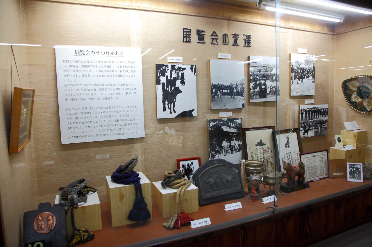 日本旅遊,日本東北旅遊 戀戀秋田犬主題路線,秋田旅遊,秋田犬,樂吃購！日本,台灣近畿旅行社,秋田犬會館
