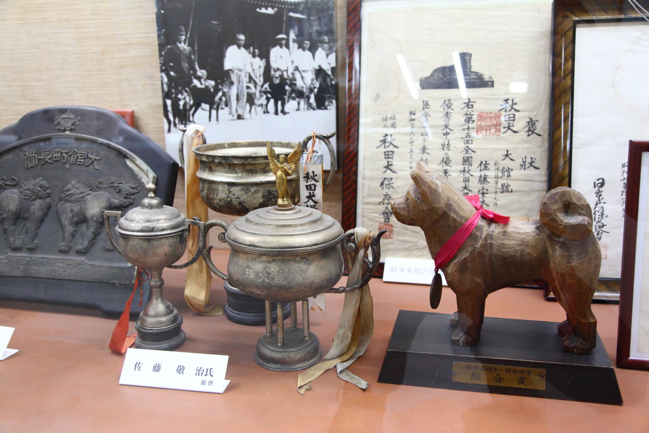 日本旅遊,日本東北旅遊 戀戀秋田犬主題路線,秋田旅遊,秋田犬,樂吃購！日本,台灣近畿旅行社,秋田犬會館