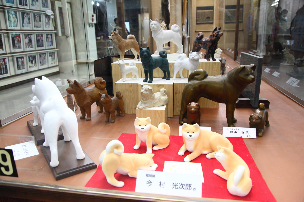 日本旅遊,日本東北旅遊 戀戀秋田犬主題路線,秋田旅遊,秋田犬,樂吃購！日本,台灣近畿旅行社,秋田犬會館