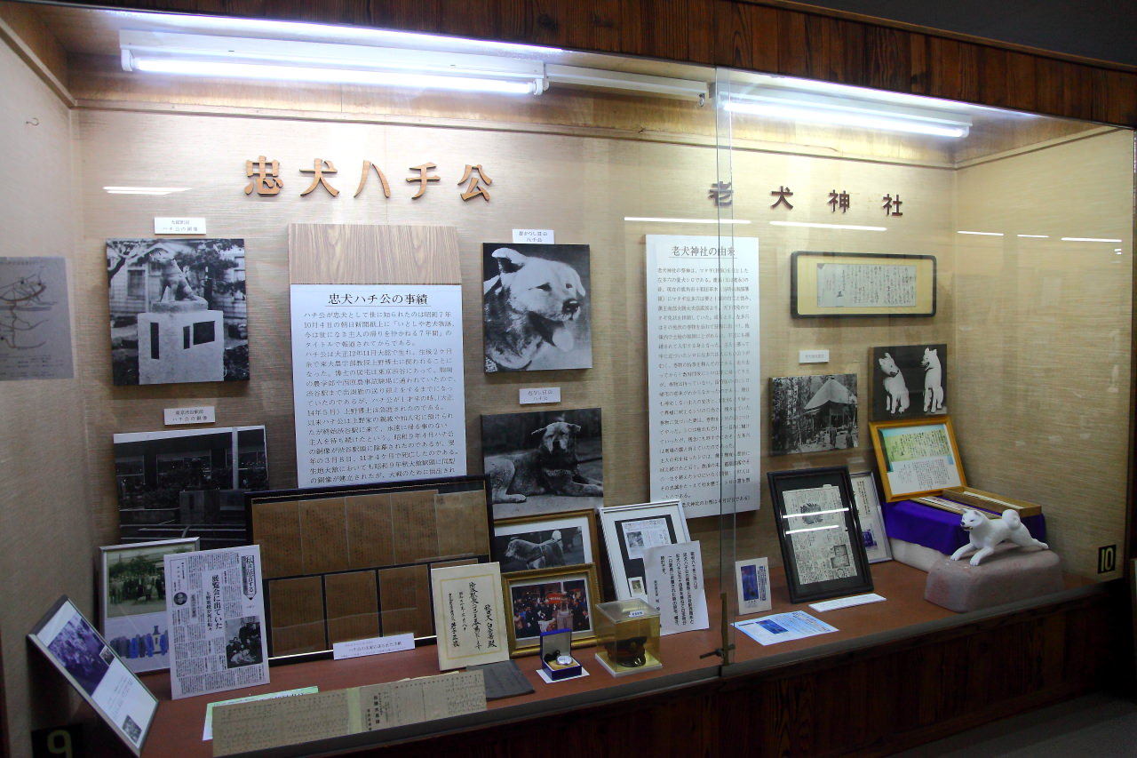 日本旅遊,日本東北旅遊 戀戀秋田犬主題路線,秋田旅遊,秋田犬,樂吃購！日本,台灣近畿旅行社,秋田犬會館