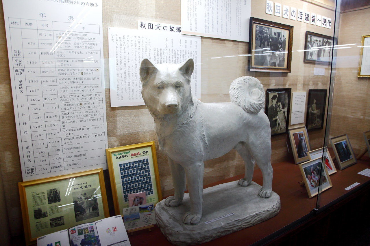 日本旅遊,日本東北旅遊 戀戀秋田犬主題路線,秋田旅遊,秋田犬,樂吃購！日本,台灣近畿旅行社,秋田犬會館