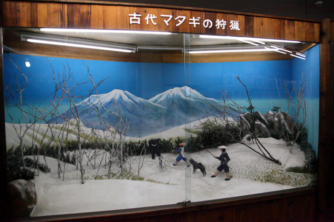 日本旅遊,日本東北旅遊 戀戀秋田犬主題路線,秋田旅遊,秋田犬,樂吃購！日本,台灣近畿旅行社,秋田犬會館