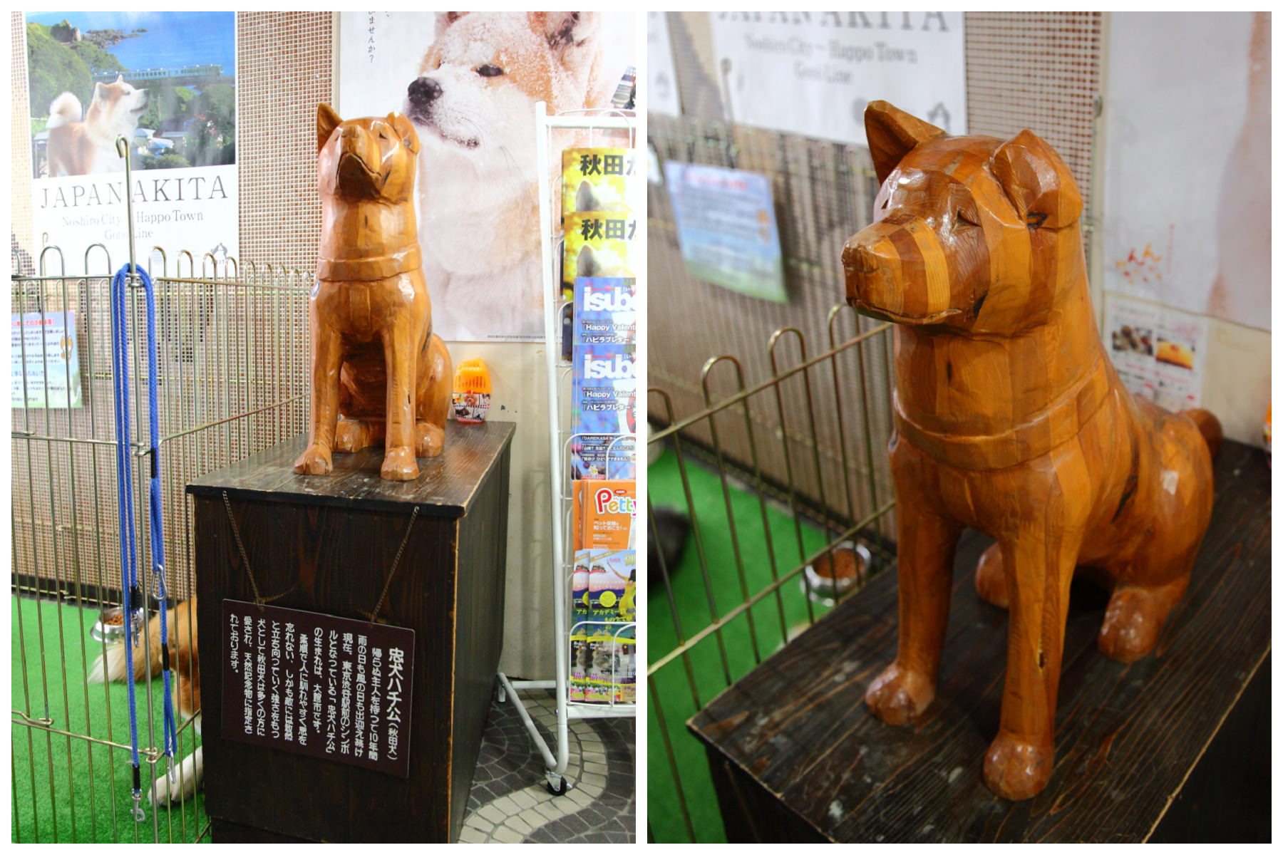 日本旅遊,日本東北旅遊 戀戀秋田犬主題路線,秋田旅遊,秋田犬,樂吃購！日本,台灣近畿旅行社,秋田犬會館