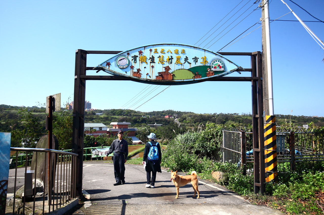 三芝旅遊,共榮社區,安康社區,三芝景點,三芝櫻花,三芝美食,新北市景點