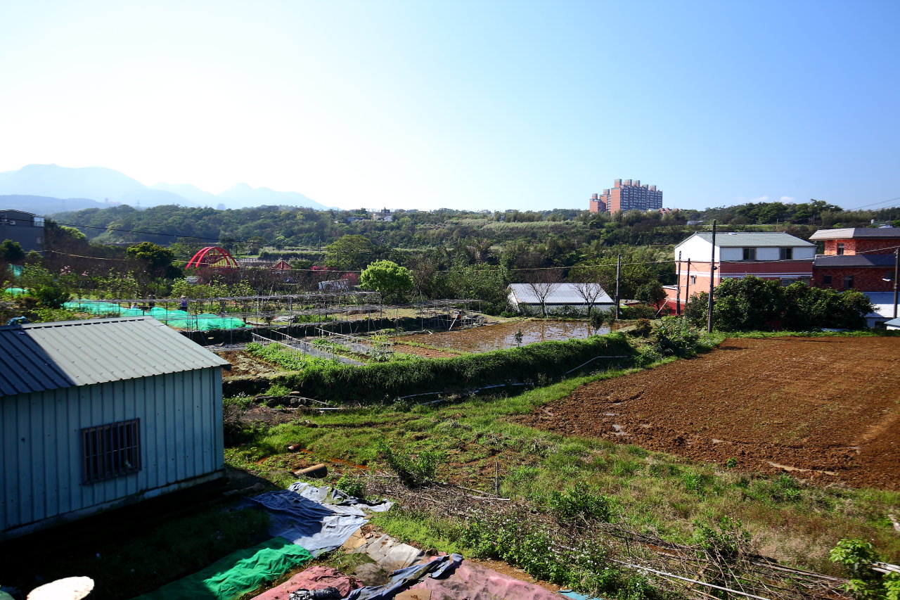 三芝旅遊,共榮社區,安康社區,三芝景點,三芝櫻花,三芝美食,新北市景點