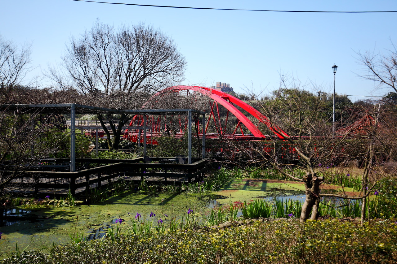 三芝旅遊,共榮社區,安康社區,三芝景點,三芝櫻花,三芝美食,新北市景點