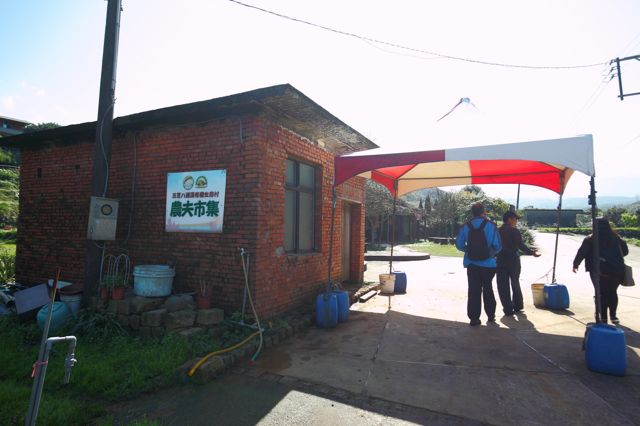 三芝旅遊,共榮社區,安康社區,三芝景點,三芝櫻花,三芝美食,新北市景點