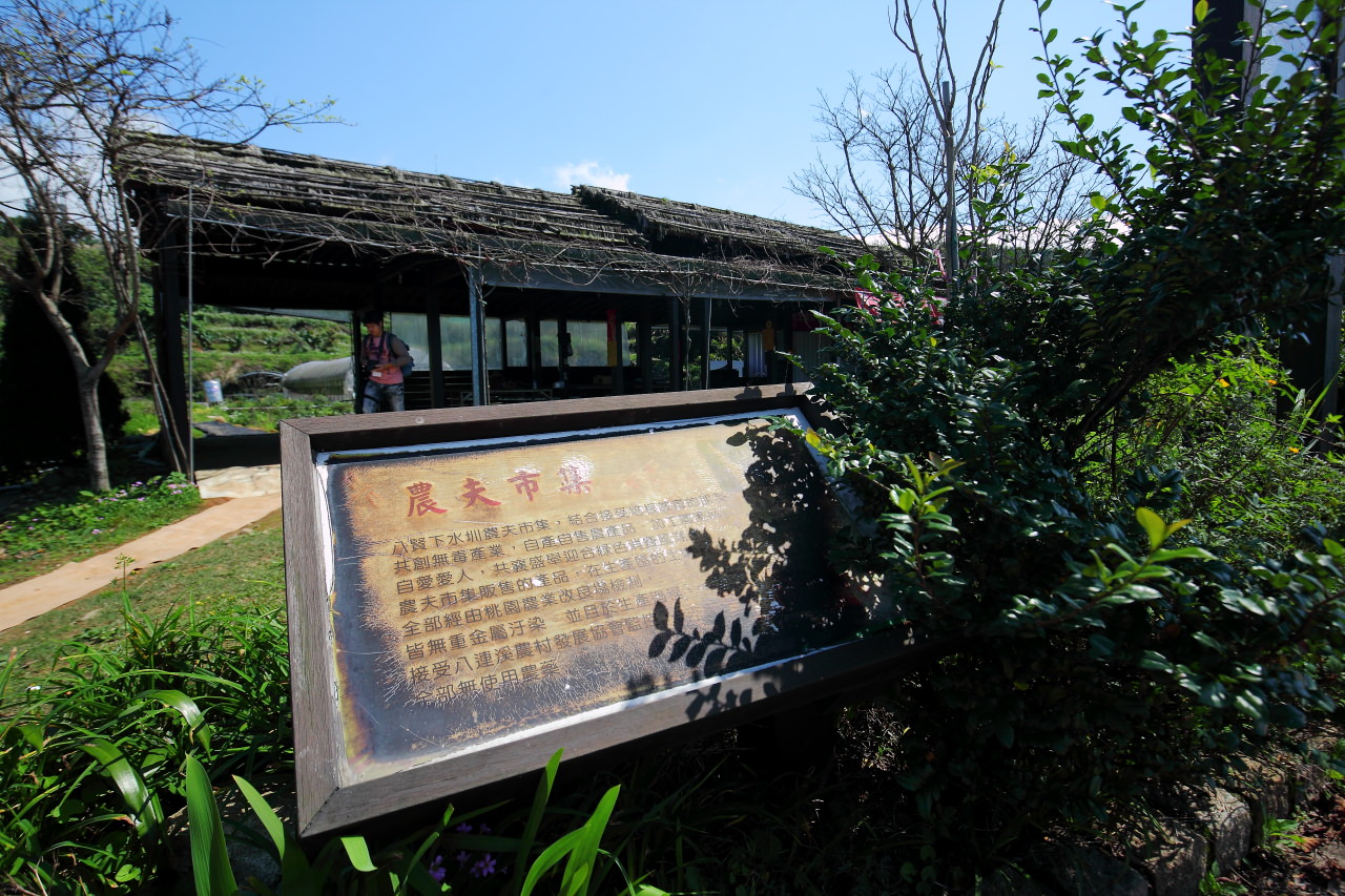 三芝旅遊,共榮社區,安康社區,三芝景點,三芝櫻花,三芝美食,新北市景點