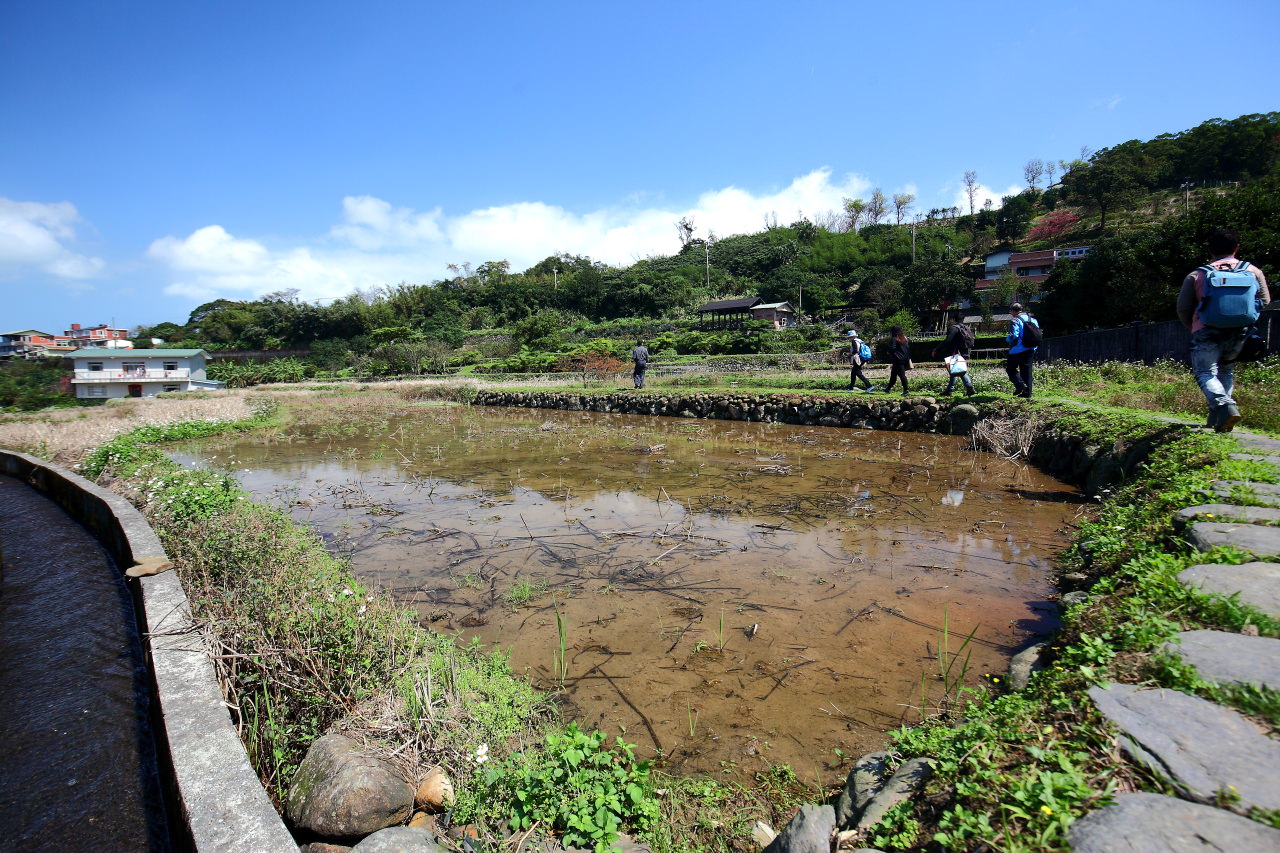 三芝旅遊,共榮社區,安康社區,三芝景點,三芝櫻花,三芝美食,新北市景點