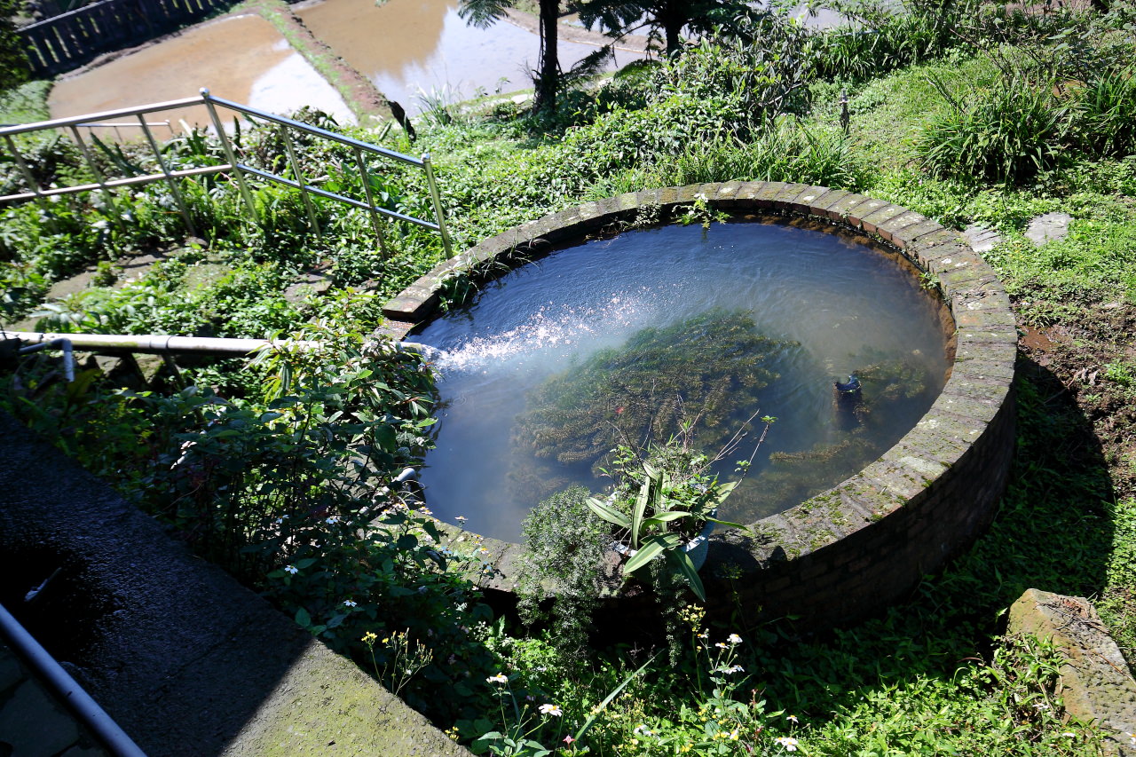三芝旅遊,共榮社區,安康社區,三芝景點,三芝櫻花,三芝美食,新北市景點
