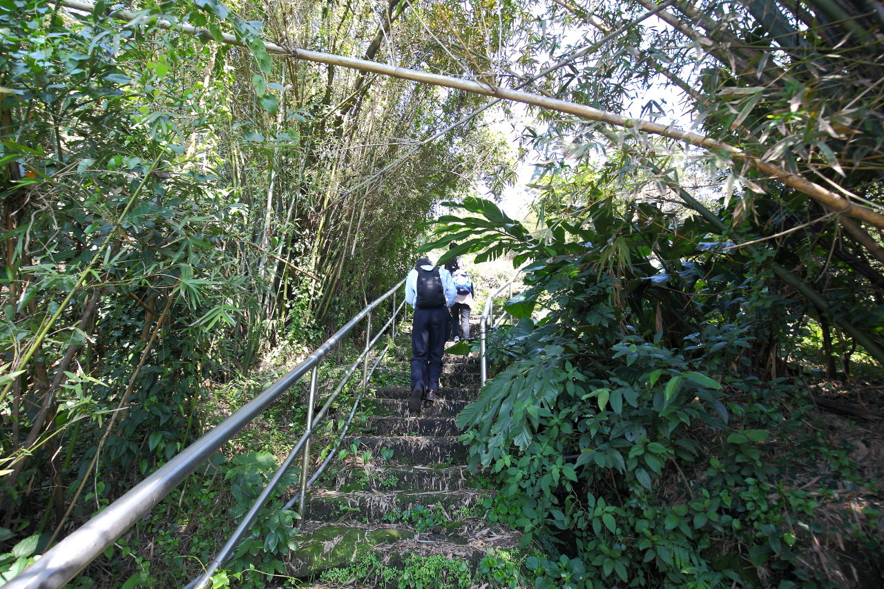 三芝旅遊,共榮社區,安康社區,三芝景點,三芝櫻花,三芝美食,新北市景點