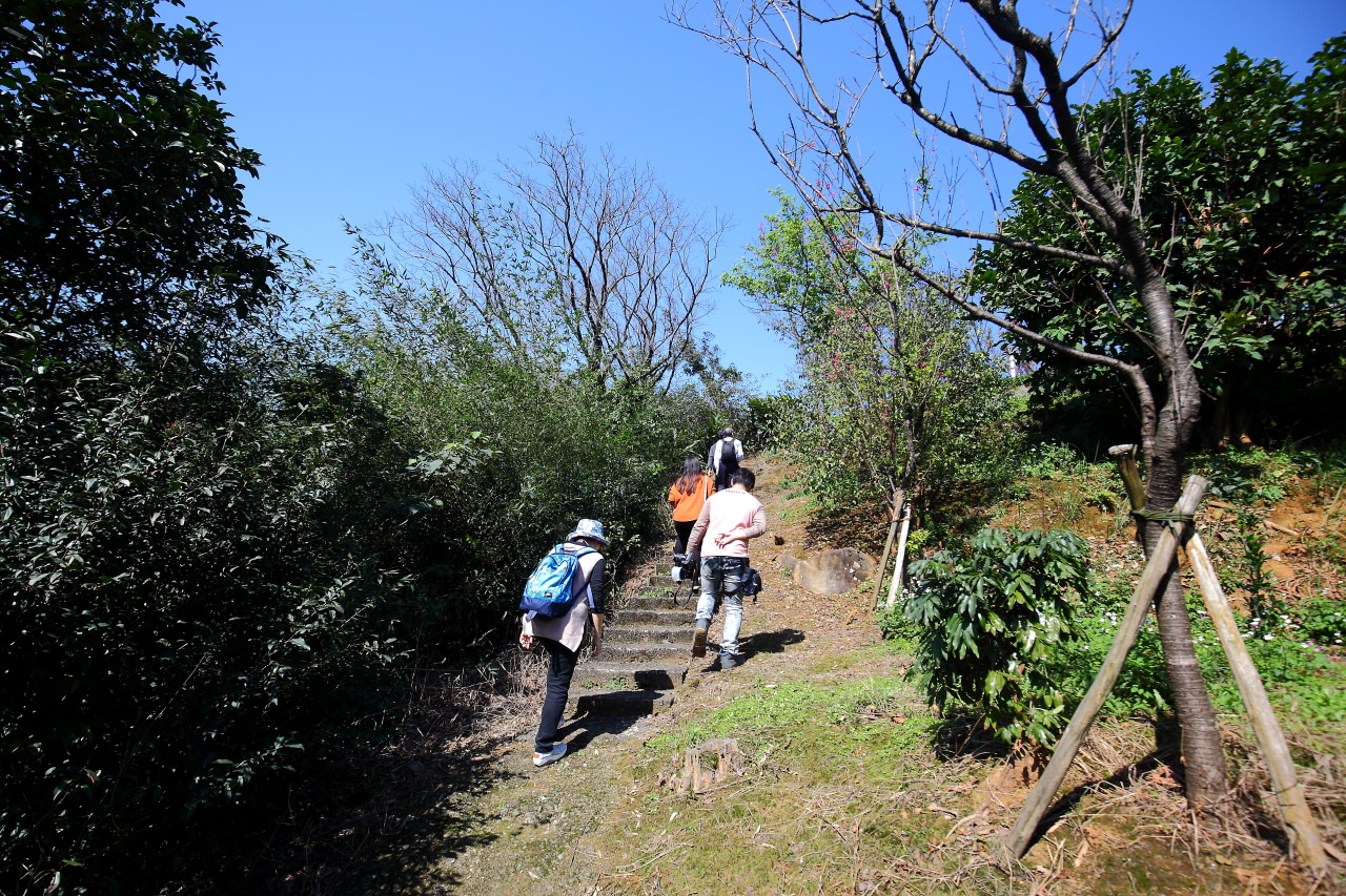 三芝旅遊,共榮社區,安康社區,三芝景點,三芝櫻花,三芝美食,新北市景點