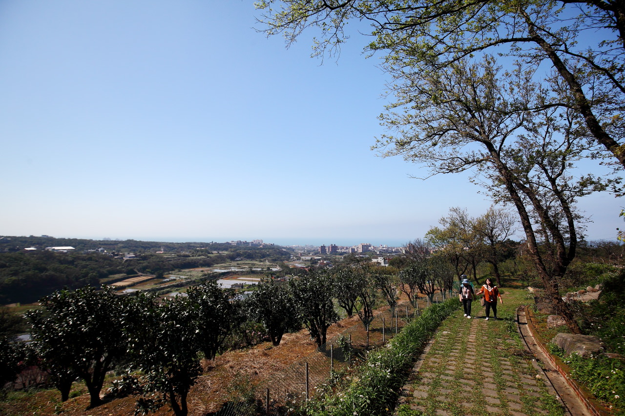 三芝旅遊,共榮社區,安康社區,三芝景點,三芝櫻花,三芝美食,新北市景點
