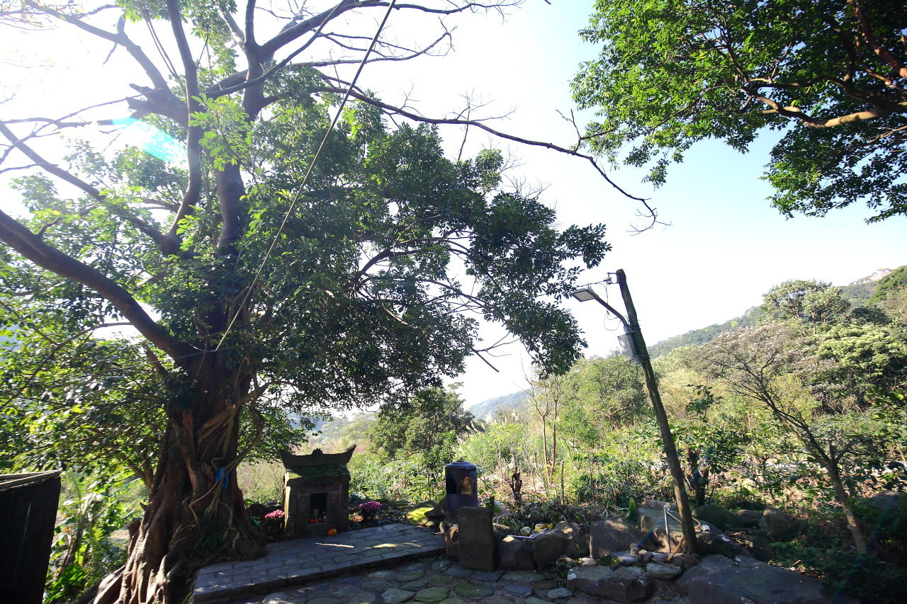 三芝旅遊,共榮社區,安康社區,三芝景點,三芝櫻花,三芝美食,新北市景點