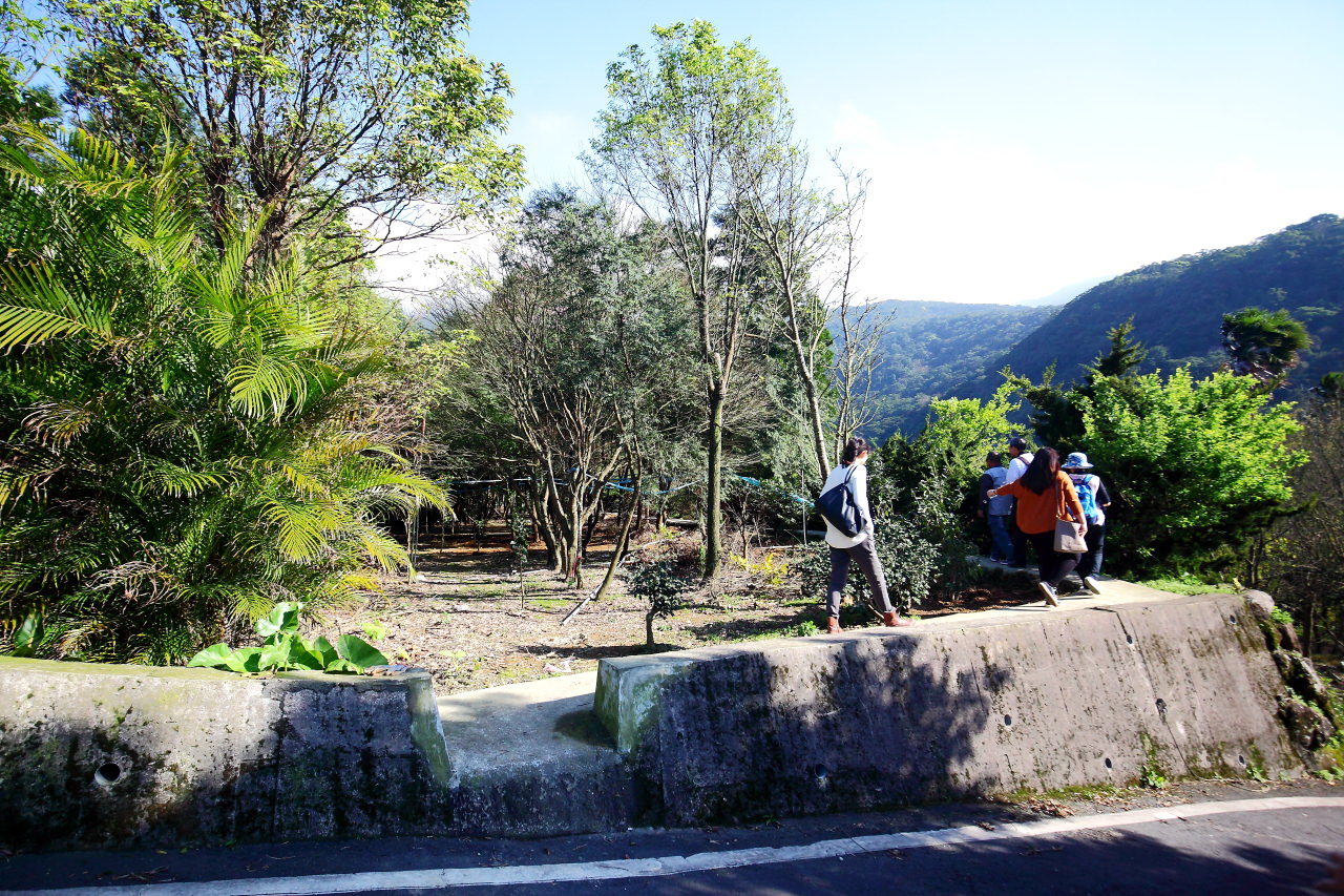 三芝旅遊,共榮社區,安康社區,三芝景點,三芝櫻花,三芝美食,新北市景點