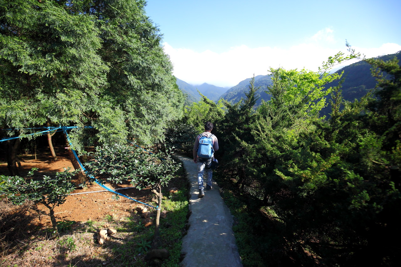 三芝旅遊,共榮社區,安康社區,三芝景點,三芝櫻花,三芝美食,新北市景點