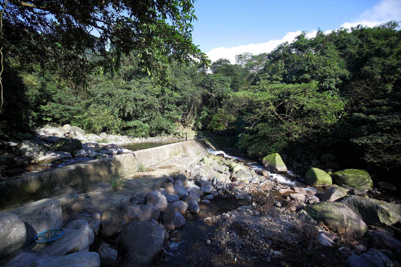 三芝旅遊,共榮社區,安康社區,三芝景點,三芝櫻花,三芝美食,新北市景點