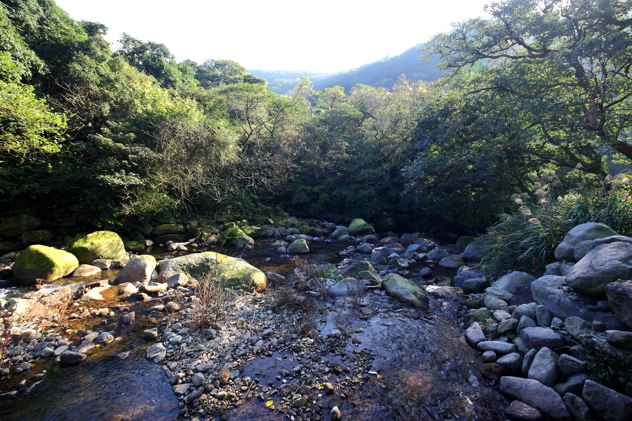 三芝旅遊,共榮社區,安康社區,三芝景點,三芝櫻花,三芝美食,新北市景點