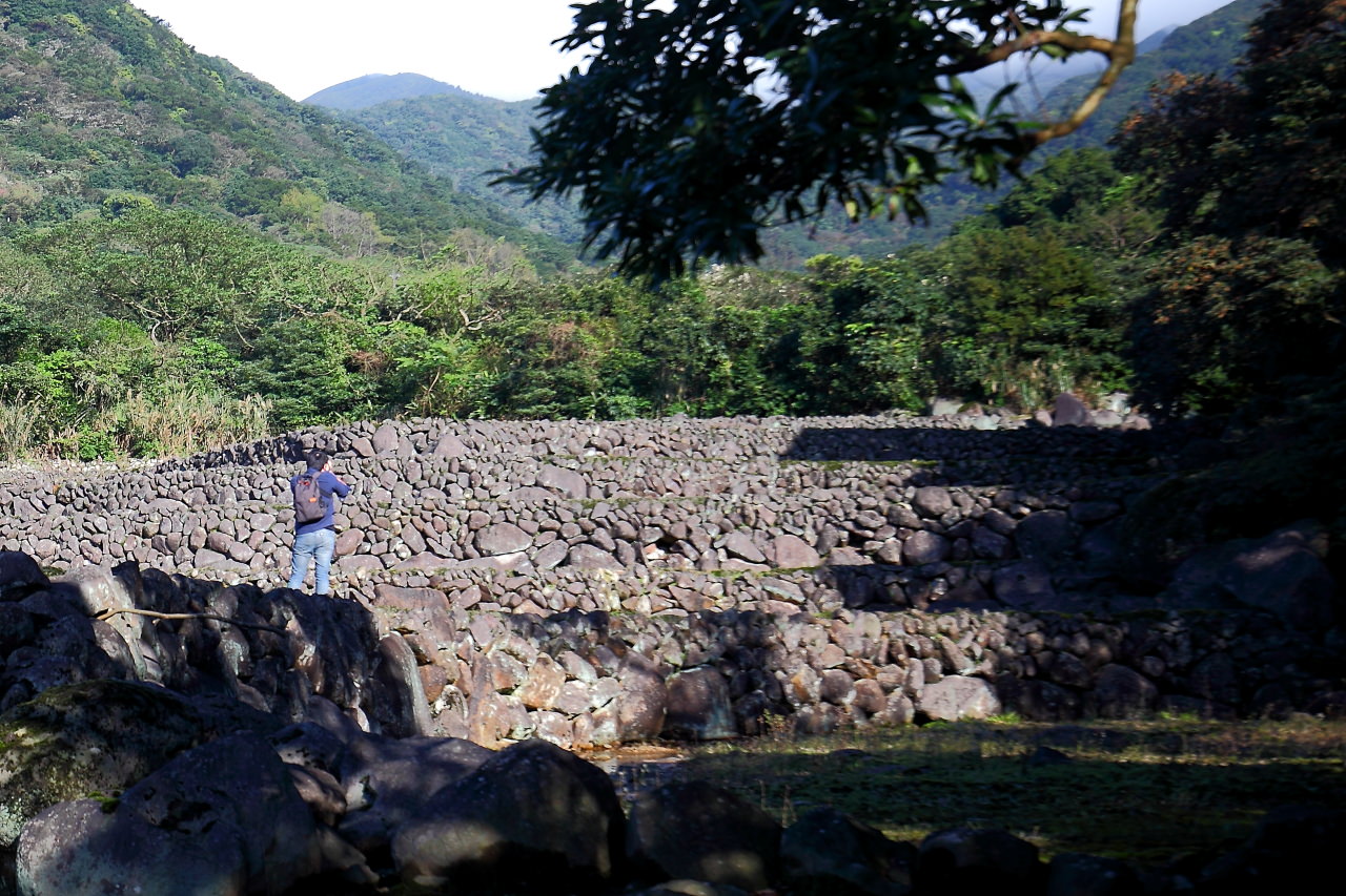 三芝旅遊,共榮社區,安康社區,三芝景點,三芝櫻花,三芝美食,新北市景點