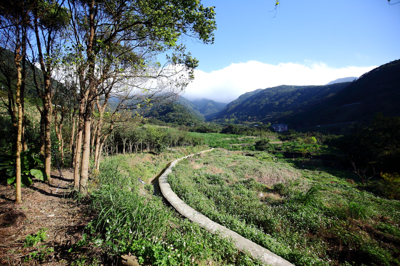 三芝旅遊,共榮社區,安康社區,三芝景點,三芝櫻花,三芝美食,新北市景點