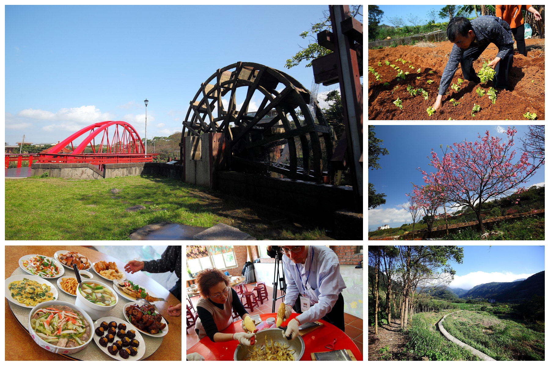 三芝旅遊,共榮社區,安康社區,三芝景點,三芝櫻花,三芝美食,新北市景點 @大手牽小手。玩樂趣