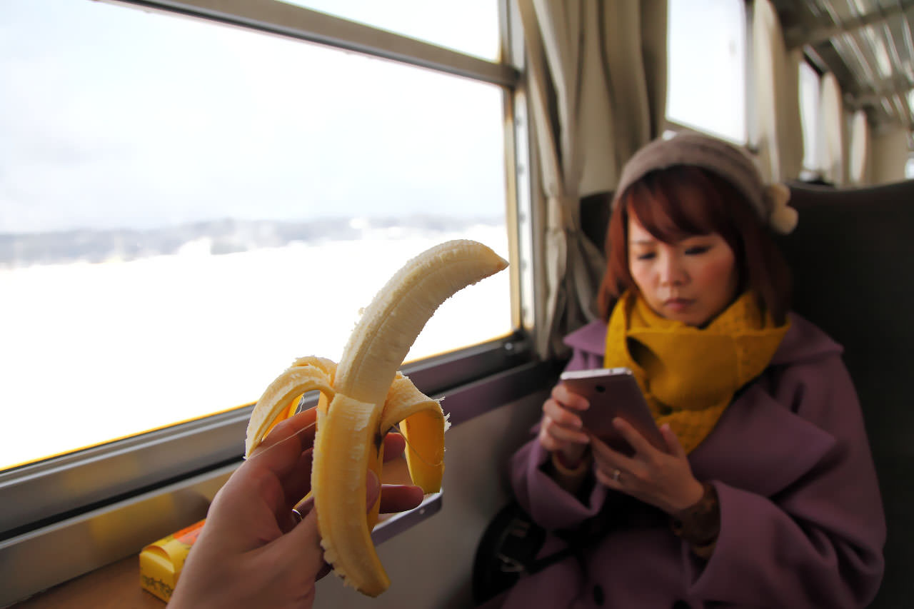 戀戀秋田犬主題路線,樂吃夠！日本,日本東北旅遊,秋田內陸縱貫鐵道,秋田旅遊