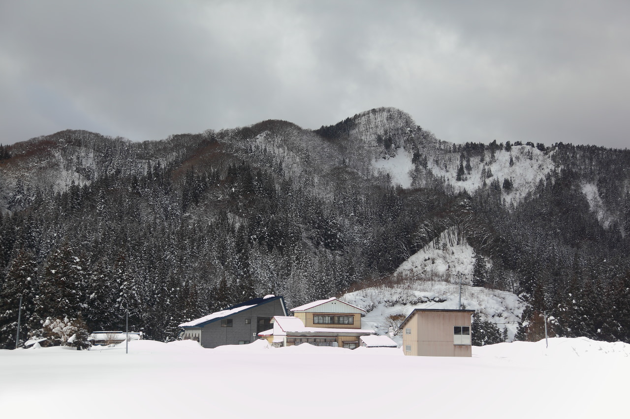 戀戀秋田犬主題路線,樂吃夠！日本,日本東北旅遊,秋田內陸縱貫鐵道,秋田旅遊