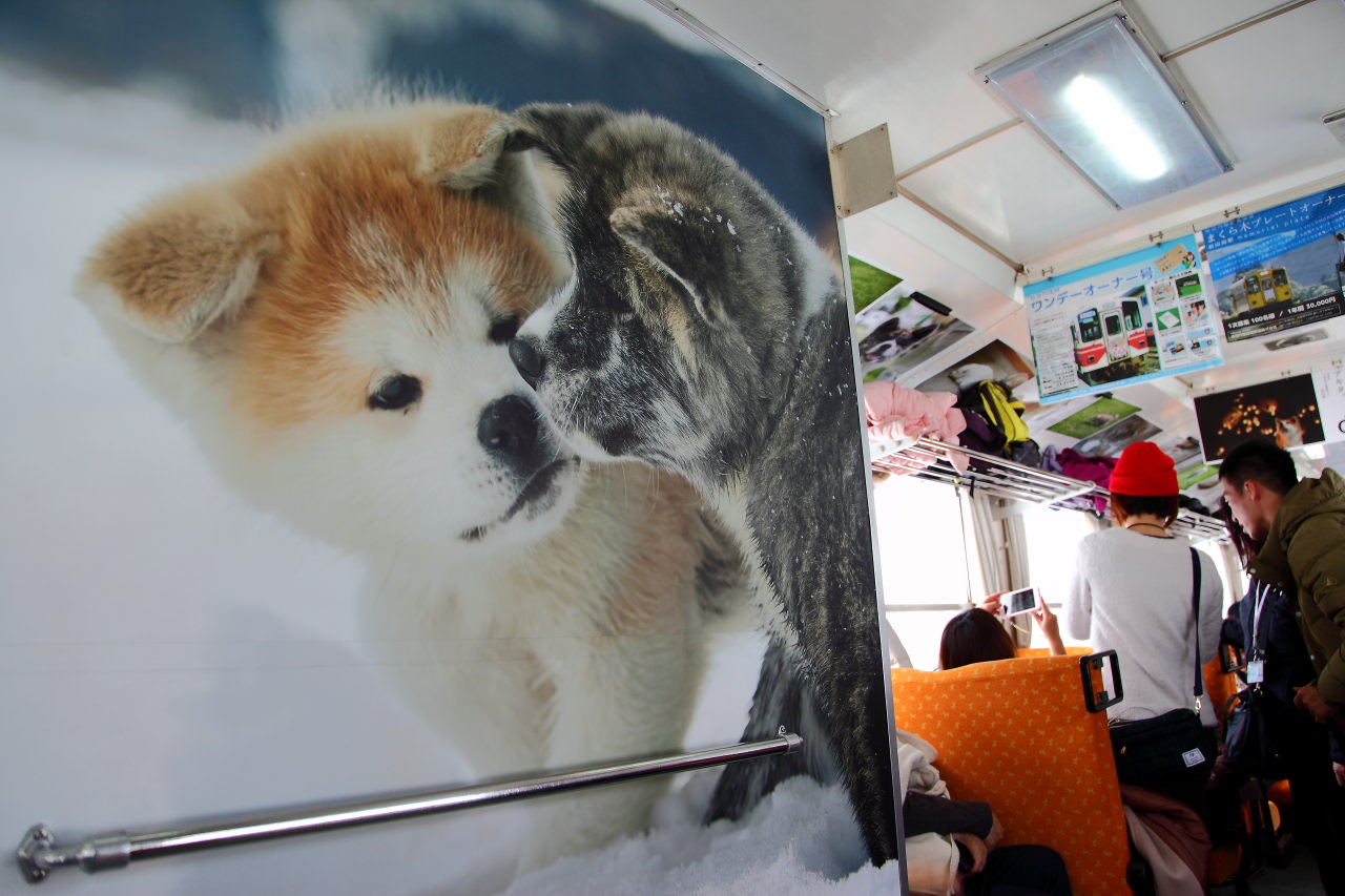 戀戀秋田犬主題路線,樂吃夠！日本,日本東北旅遊,秋田內陸縱貫鐵道,秋田旅遊