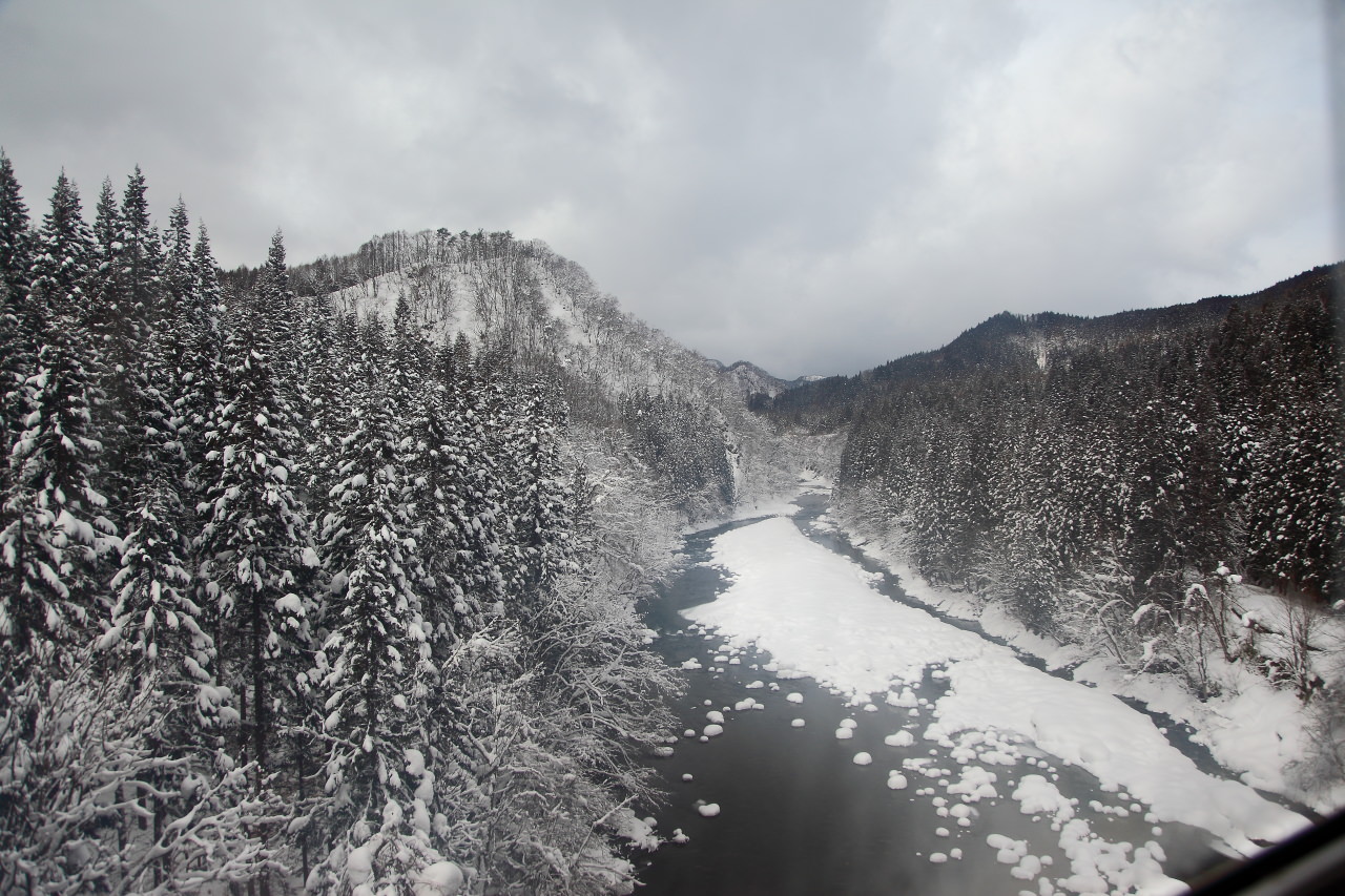 戀戀秋田犬主題路線,樂吃夠！日本,日本東北旅遊,秋田內陸縱貫鐵道,秋田旅遊